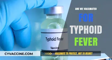 Are We Vaccinated for Typhoid Fever? Understanding Protection and Risks