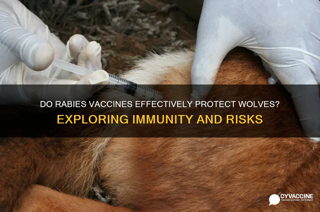are wolves resistant to rabies vaccine