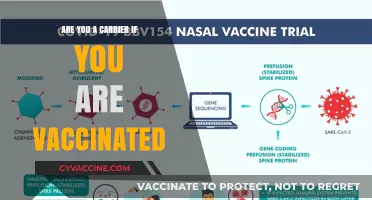 Vaccinated but still a carrier? What you need to know