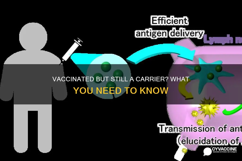 are you a carrier if you are vaccinated