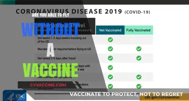 Travel Freedoms: Vaccines or No Jab, Can You Fly?