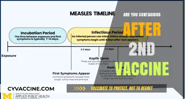 Post-Vaccine Contagiousness: What to Know After Your Second Dose