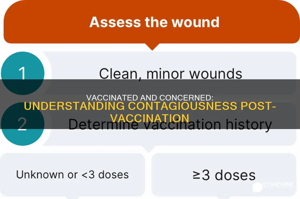 are you contagious after a vaccine