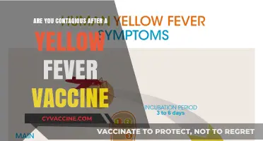 Yellow Fever Vaccine: Am I Contagious?