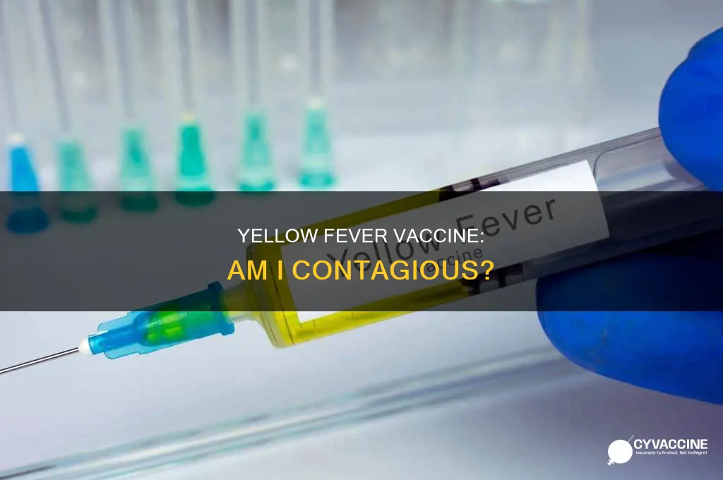 are you contagious after a yellow fever vaccine