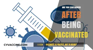 Vaccinated and Contagious? Understanding Transmission Risks Post-Vaccination