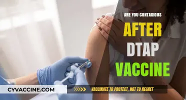 Are You Contagious After DTaP Vaccine? What Parents Need to Know