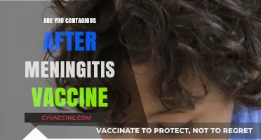 Meningitis Vaccine: Understanding Contagion Risks Post-Immunization