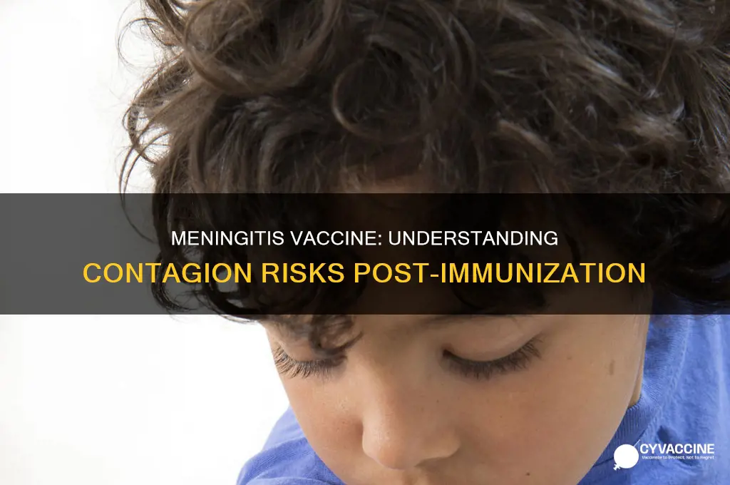 are you contagious after meningitis vaccine