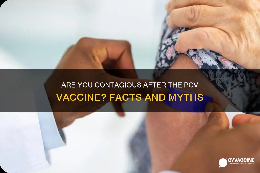 are you contagious after pcv vaccine