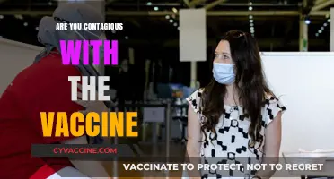 Vaccinated and Concerned: Can You Still Spread COVID-19 to Others?