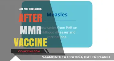 Are You Contagious After the MMR Vaccine? Facts and Myths