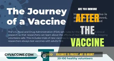 Vaccinated and Protected: Understanding Immunity Post-Vaccination