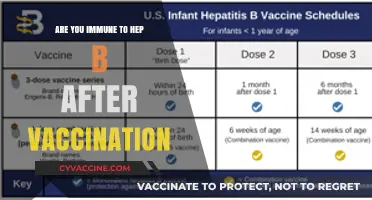 Hep B Vaccination: Does It Guarantee Immunity?