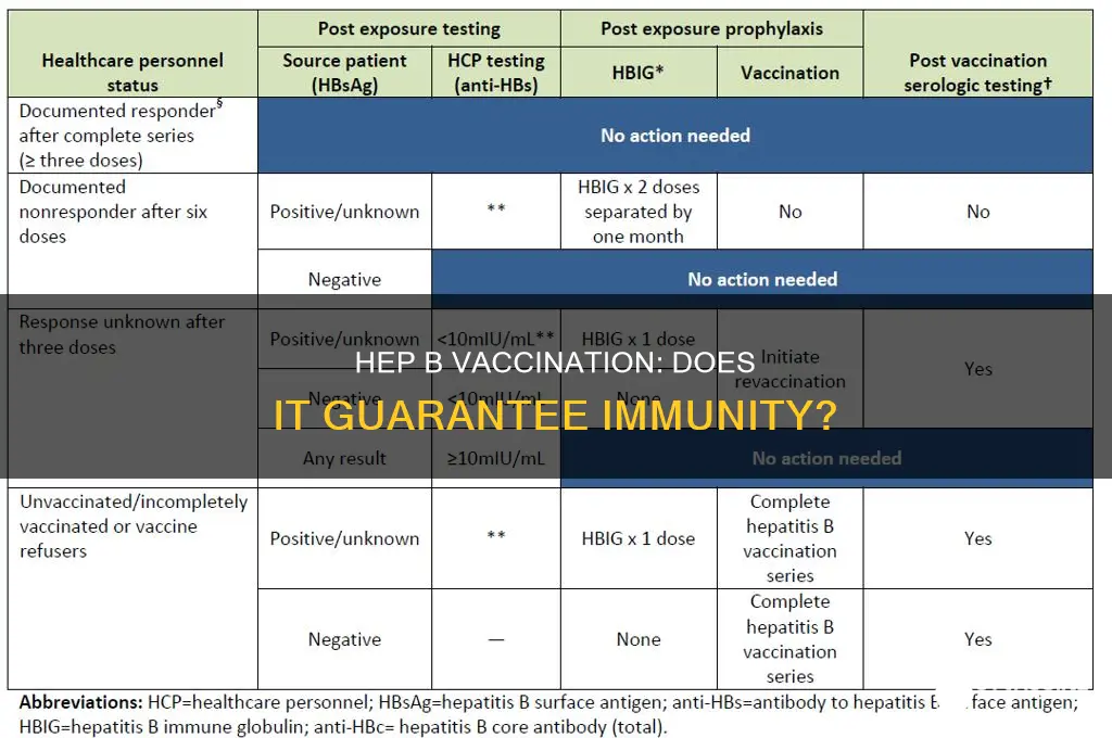are you immune to hep b after vaccination