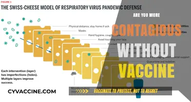 Vaccine-Free Contagion: Are Unvaccinated Individuals More Likely to Spread Illness?