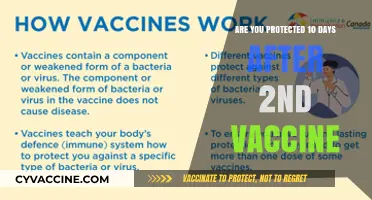 Vaccine Efficacy: Are You Protected After the Second Dose?
