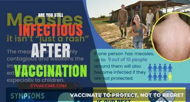 Vaccinated but Still Infectious? Understanding Post-Vaccination Transmission Risks