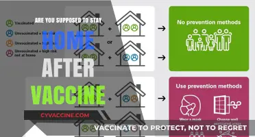 Staying Home Post-Vaccine: Is It Necessary?