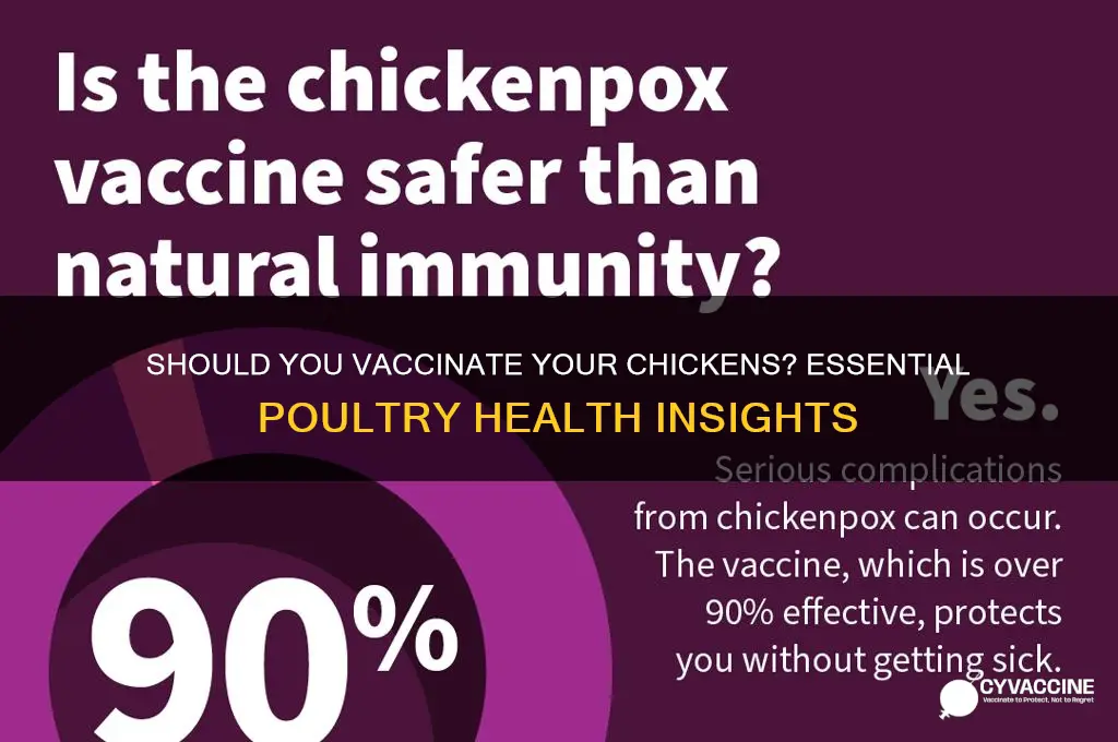 are you supposed to vaccinate chickens