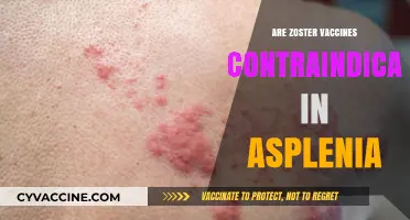 Zoster Vaccines and Asplenia: Contraindications and Safety Concerns Explained