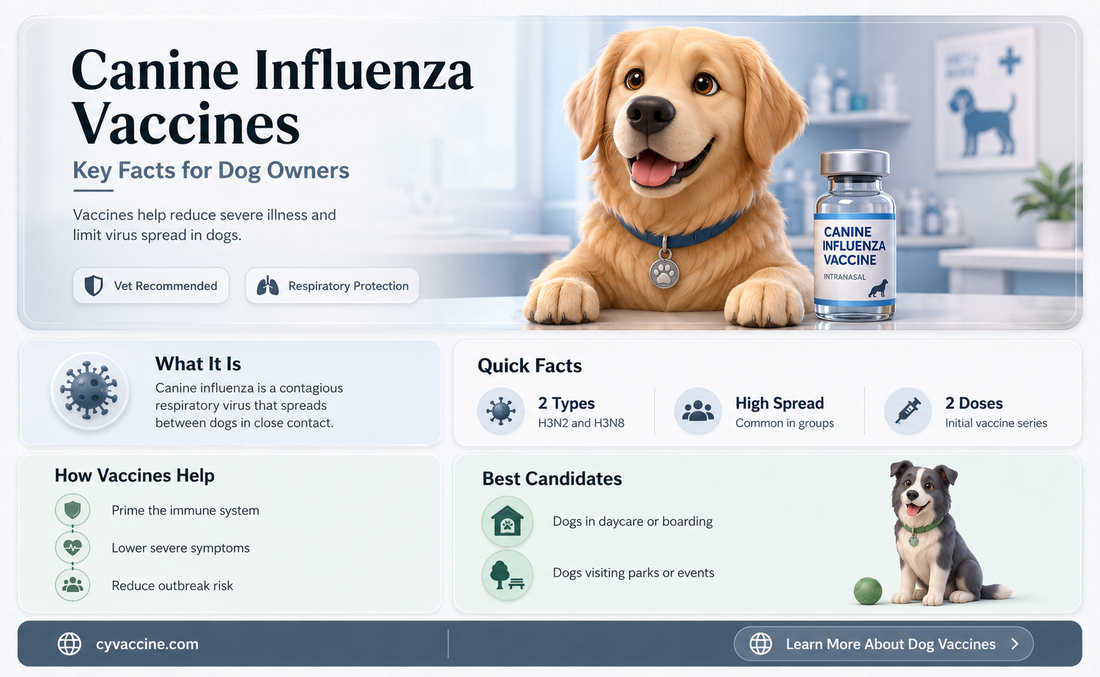 are there any vaccines available for canine influenza