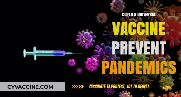 Universal Vaccines: The Key to Ending Future Pandemics?