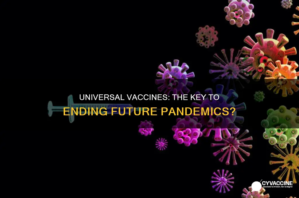 could a universal vaccine prevent pandemics