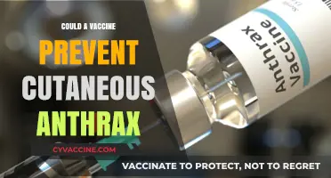Could a Vaccine Prevent Cutaneous Anthrax? Exploring Potential Immunization Strategies