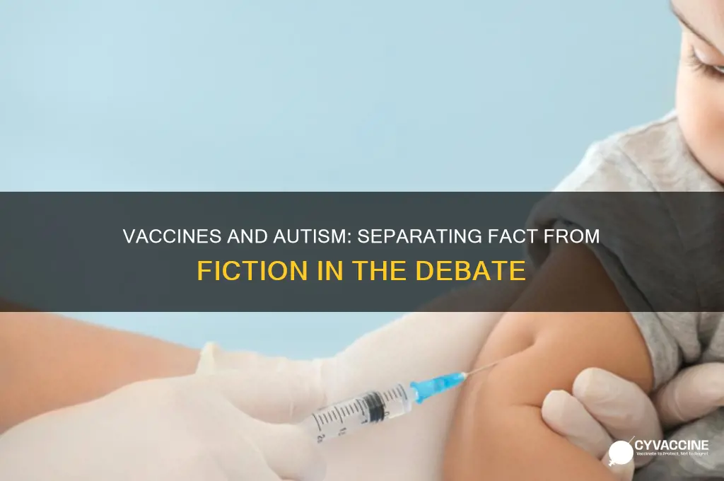 could autism be related to vaccines