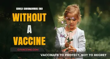 Could COVID-19 Disappear Naturally Without a Vaccine Solution?
