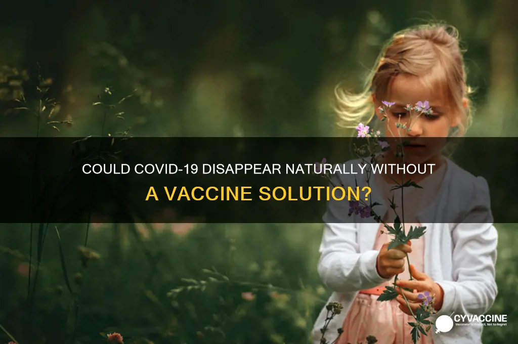 could coronavirus end without a vaccine