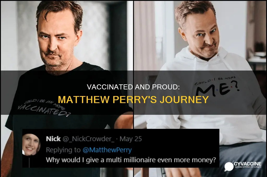 could i be any more vaccinated matthew perry