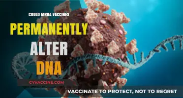 Can mRNA Vaccines Permanently Alter DNA? Separating Fact from Fiction