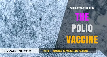 SV40: A Hidden Danger in Polio Vaccines?