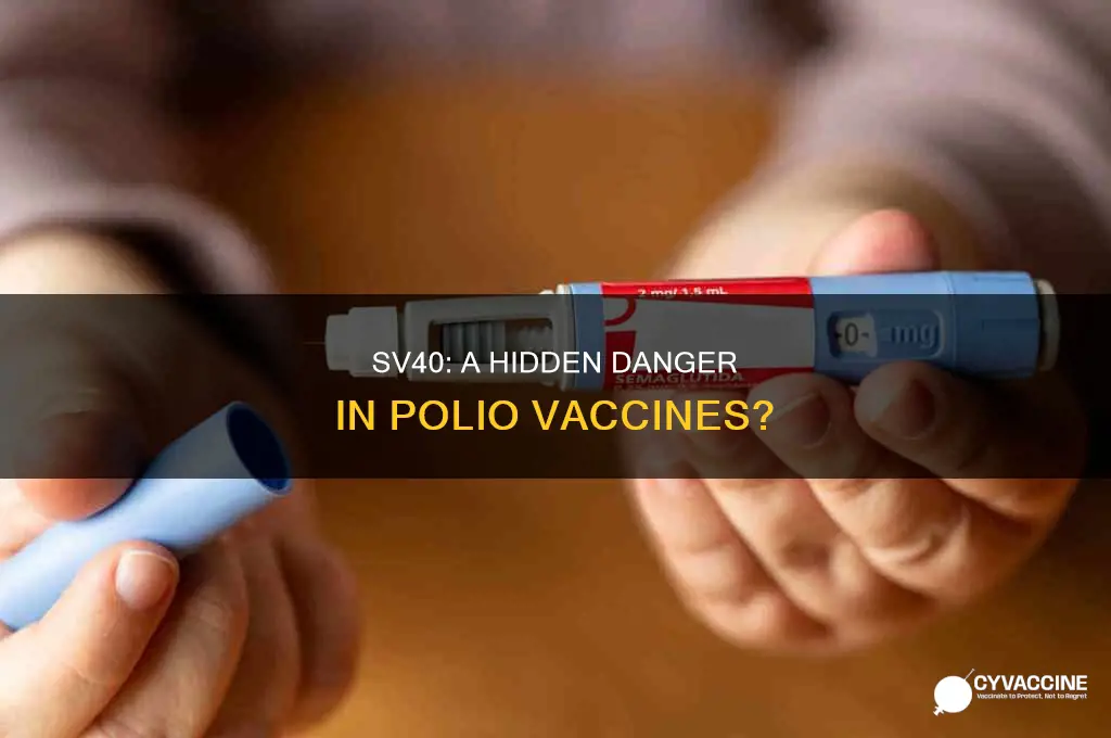 could sv40 still be in the polio vaccine
