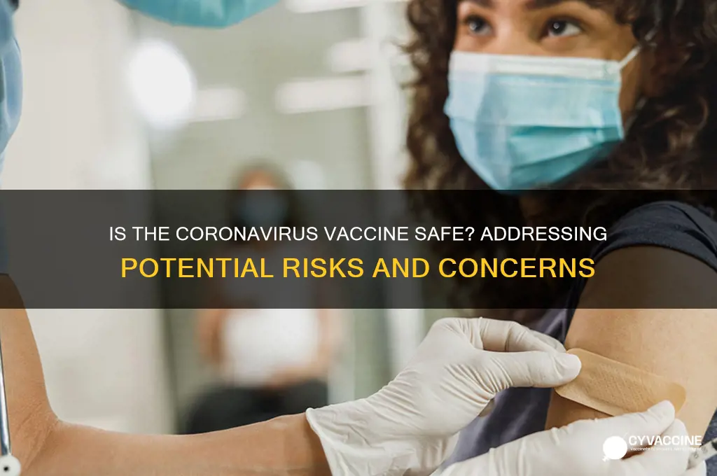 could the coronavirus vaccine be dangerous