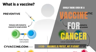 Cancer Vaccine: Is it Possible?