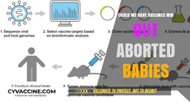 Vaccines Without Abortion: Is It Possible?