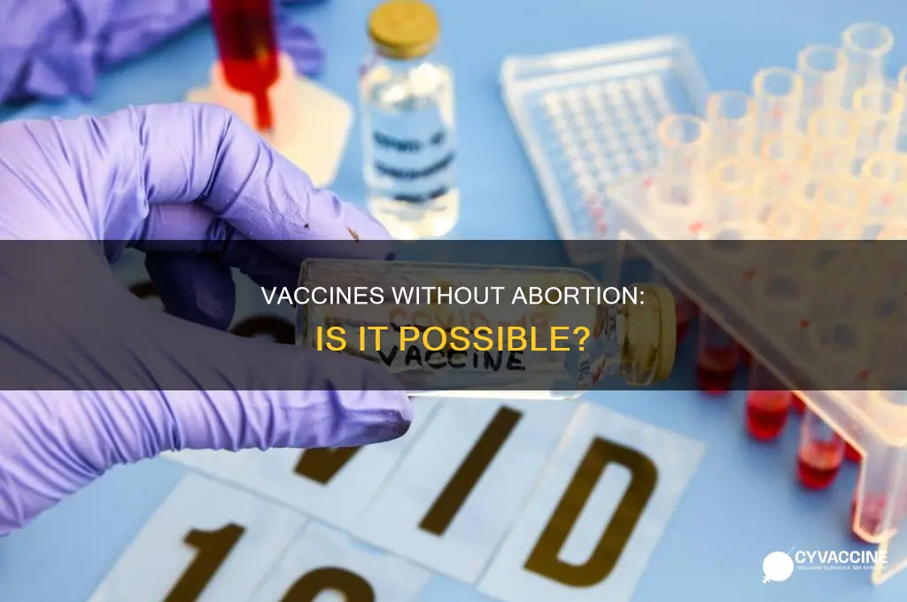 could we have vaccines wih out aborted babies
