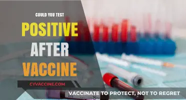 Can COVID-19 Vaccines Cause Positive Test Results? What You Need to Know