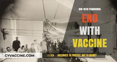 How the 1918 Pandemic Ended: The Role of Vaccines Explained