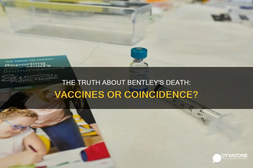 did 6 month old bentley died from vaccines
