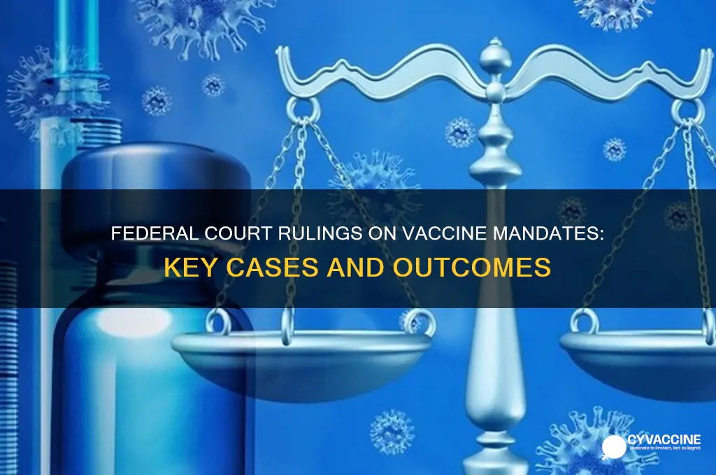 did a federal court vaccine cases