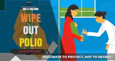 Did Vaccines Eradicate Polio? Uncovering the Truth Behind the Success