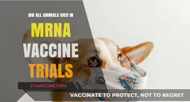 Did Animals Die in mRNA Vaccine Trials?
