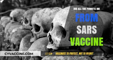 The Truth About Ferrets, SARS Vaccine, and Mortality