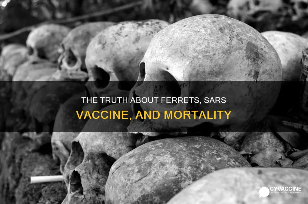 did all the ferrets die from sars vaccine