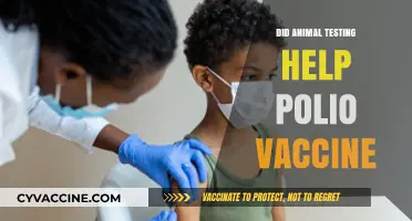 Animal Testing's Role in Developing the Polio Vaccine: Fact or Fiction?