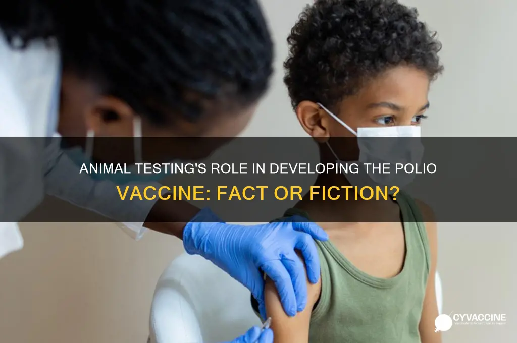 did animal testing help polio vaccine